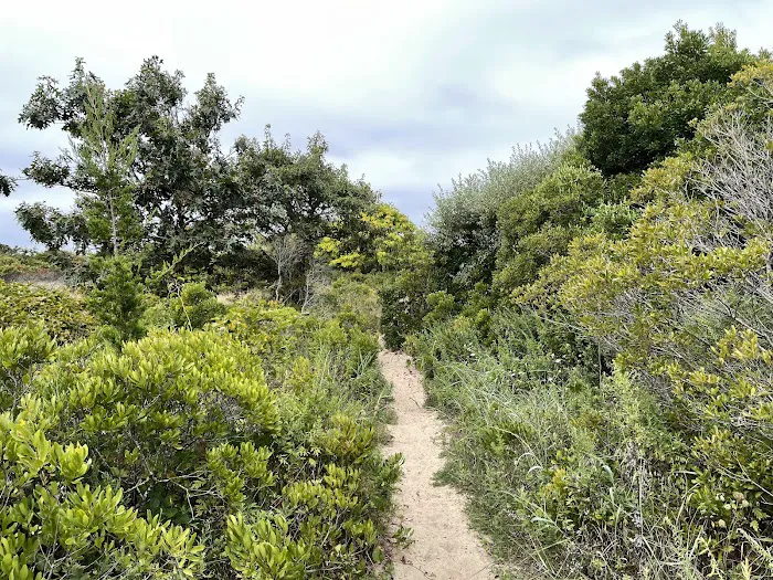 Sound View Dunes Park Picture 9