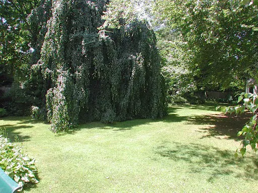 East Hampton Colonial Inn Picture 2
