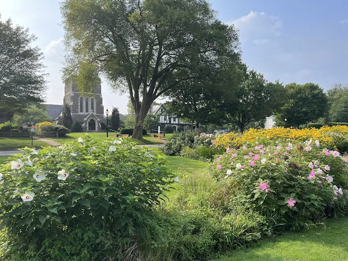 East Hampton Village Green Bioswale Picture 2