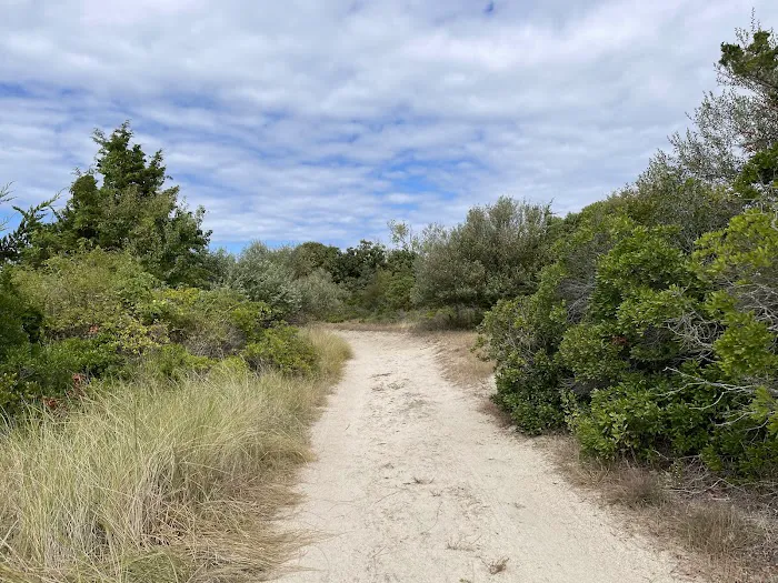 Northwest Harbor County Park Picture 4