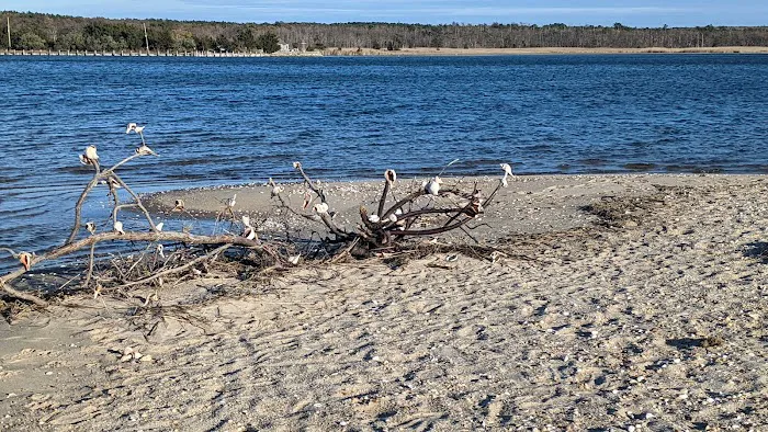 Northwest Harbor County Park Picture 5