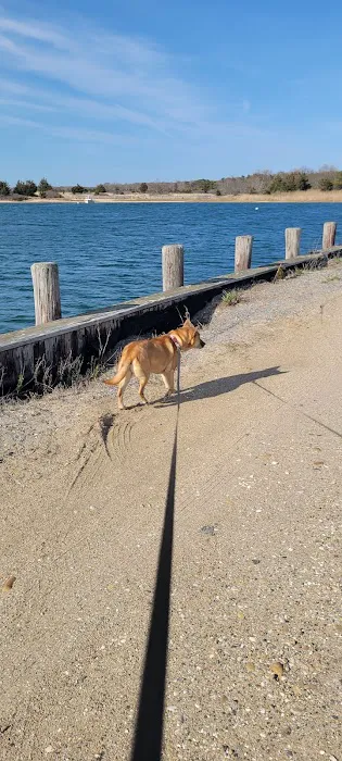 Northwest Harbor County Park Picture 8