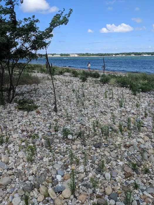 Town Landing Beach Picture 10