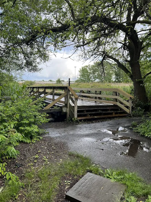 Pat Dolan Trail Picture 4