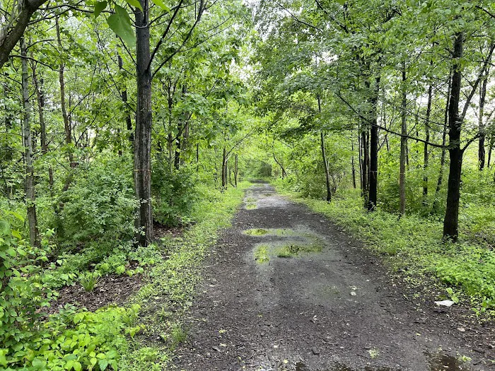 Pat Dolan Trail Picture 5