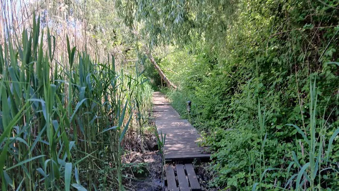 Pat Dolan Trail Picture 1