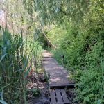 Pat Dolan Trail