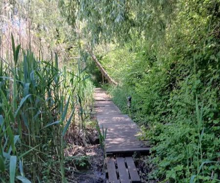 Pat Dolan Trail