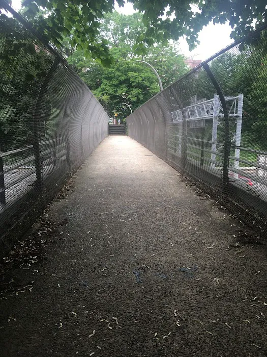 Pat Dolan Trail Picture 8
