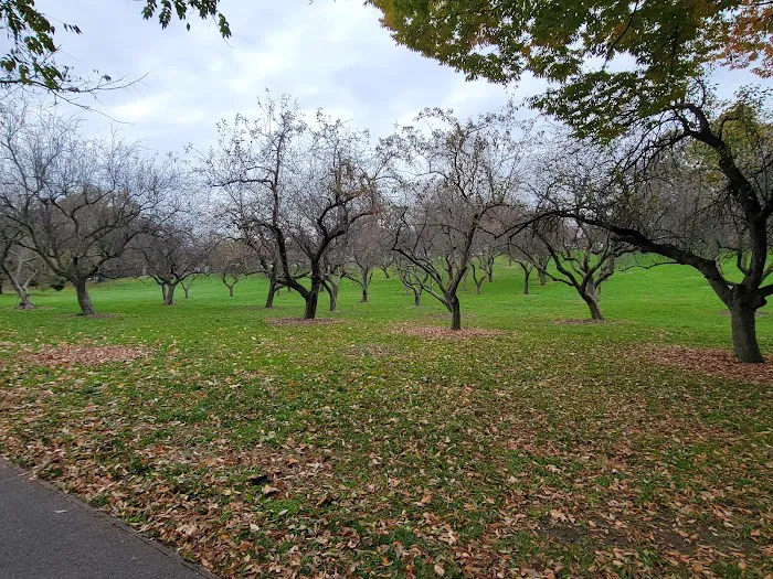 Queens Botanical Garden Picture 4