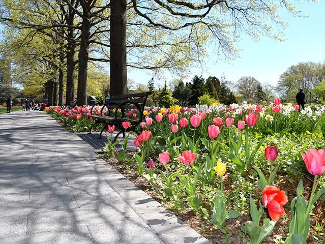 Queens Botanical Garden Picture 1