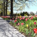 Queens Botanical Garden