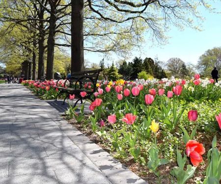 Queens Botanical Garden