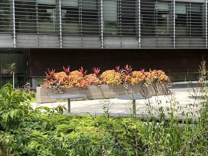 Queens Botanical Garden Picture 6