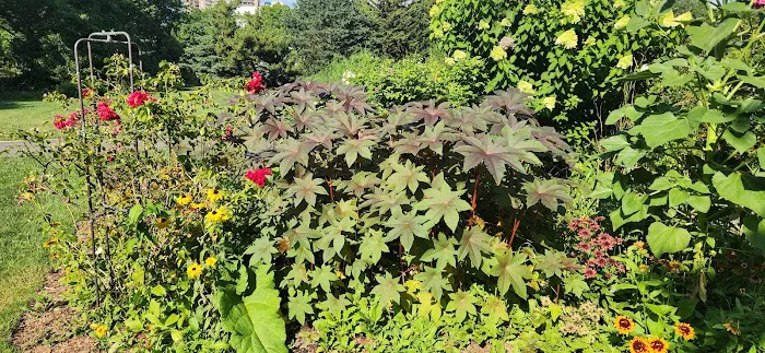 Wedding Garden, Queens Botanical Garden Picture 4