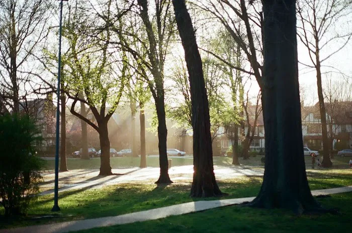 Hawthorne Park Forest Hills Picture 3