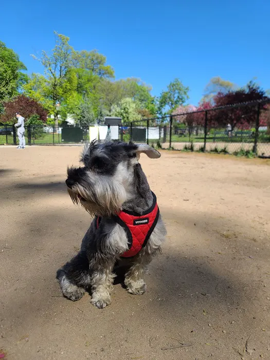 Forest Park Barking Lot Picture 2