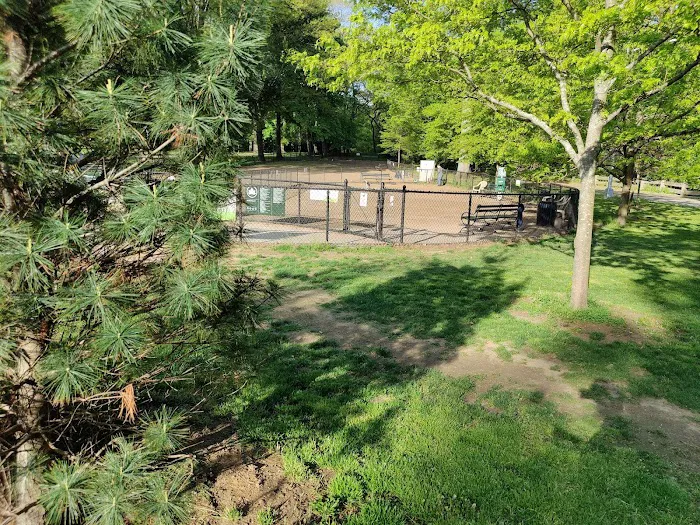 Forest Park Barking Lot Picture 6