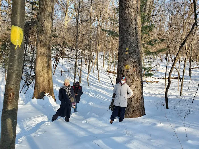 Forest Park Barking Lot Picture 8