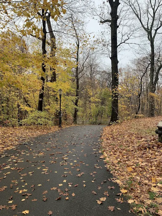 Forest Park Barking Lot Picture 4