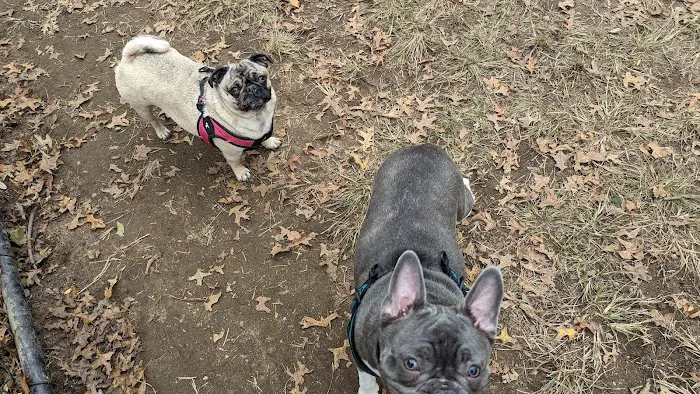 Forest Park Barking Lot Picture 7