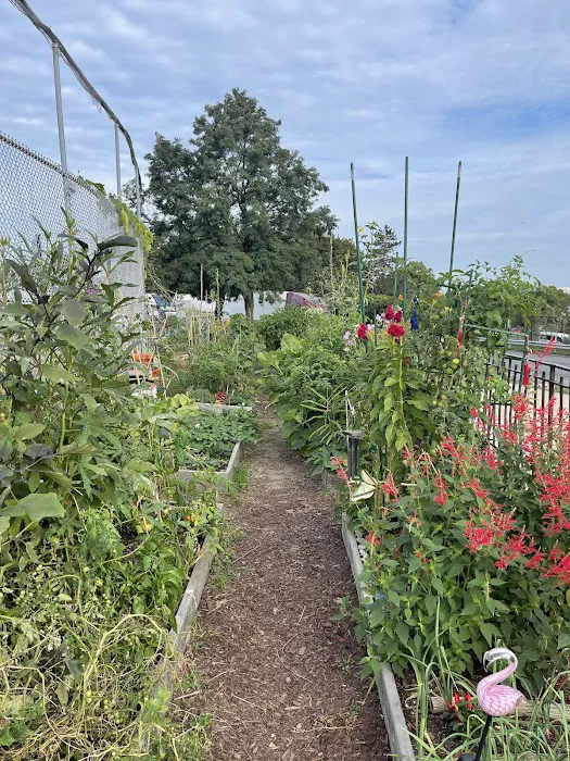Forest Hills Community Garden Picture 3