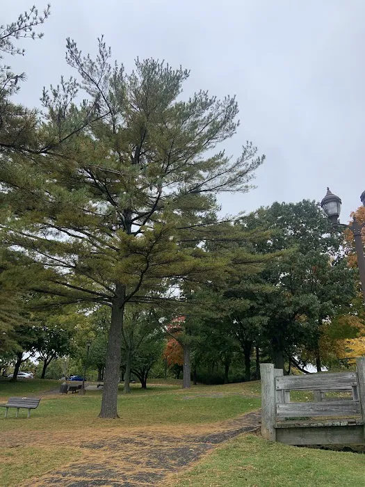 5 island park walkway Picture 7