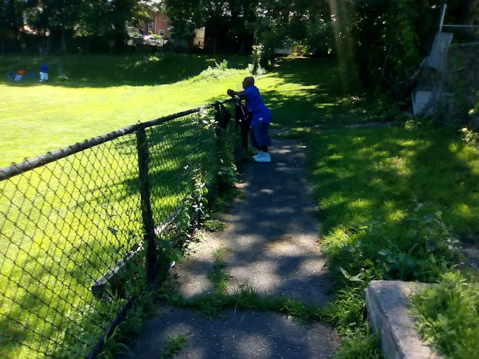 Brush Park Picture 5