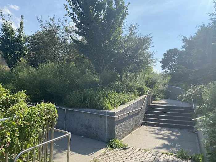 Tillotson Ave Walkway Picture 3