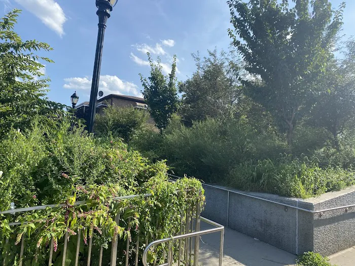 Tillotson Ave Walkway Picture 2