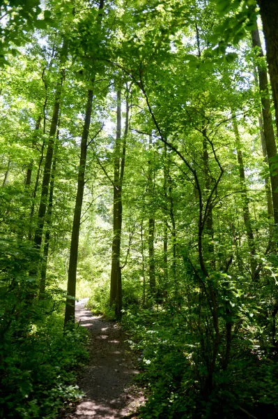 Seton Falls Park Picture 4