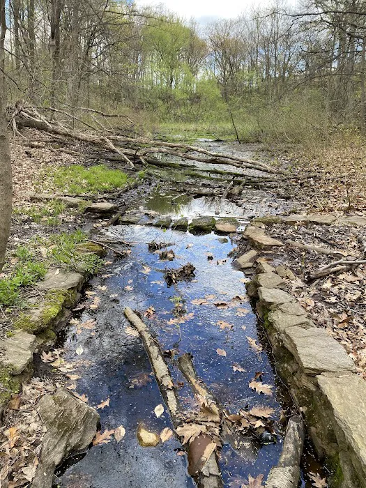 Seton Falls Park Picture 3