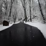 Seton Falls Park