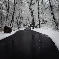 Seton Falls Park ico