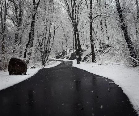 Seton Falls Park