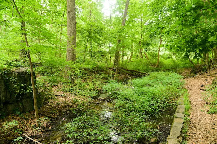 Seton Falls Park Picture 10