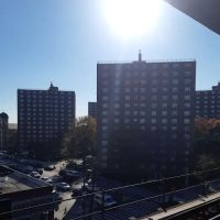Royal Hotel Bronx ico