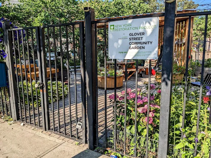 Glover Street Garden Picture 2