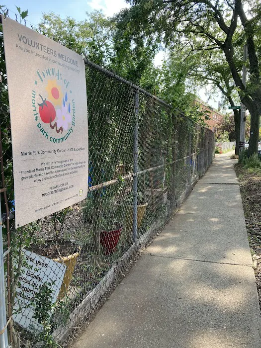 Morris Park Community Garden Picture 8