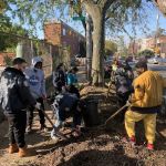 Morris Park Community Garden