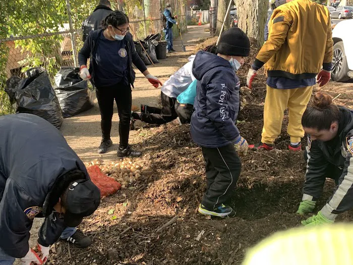 Morris Park Community Garden Picture 2