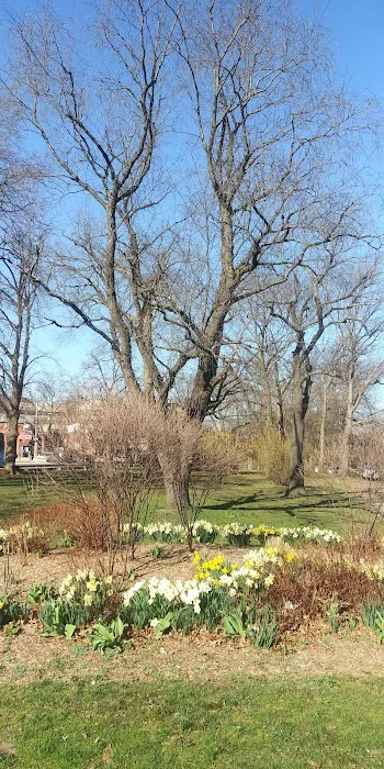 Pelham Parkway Picture 6