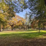 Pelham Parkway