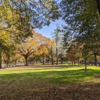 Pelham Parkway ico