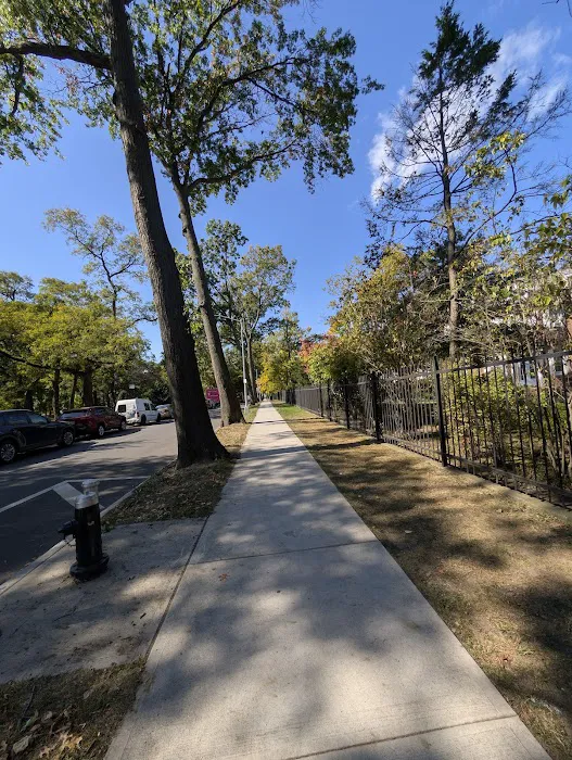 Pelham Parkway Picture 5
