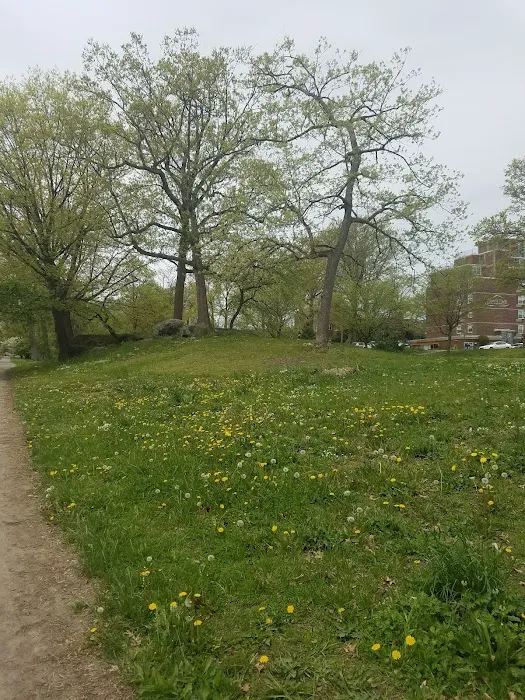 2215 Bronxwood Ave Picture 3