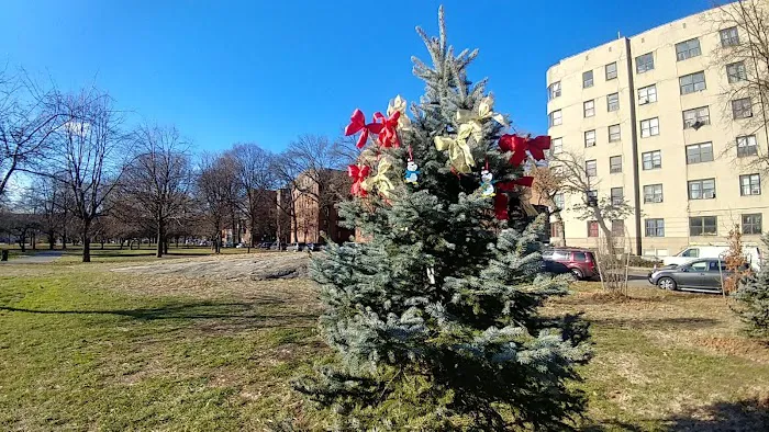 2215 Bronxwood Ave Picture 1