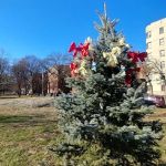 2215 Bronxwood Ave