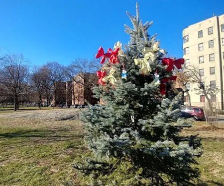 2215 Bronxwood Ave