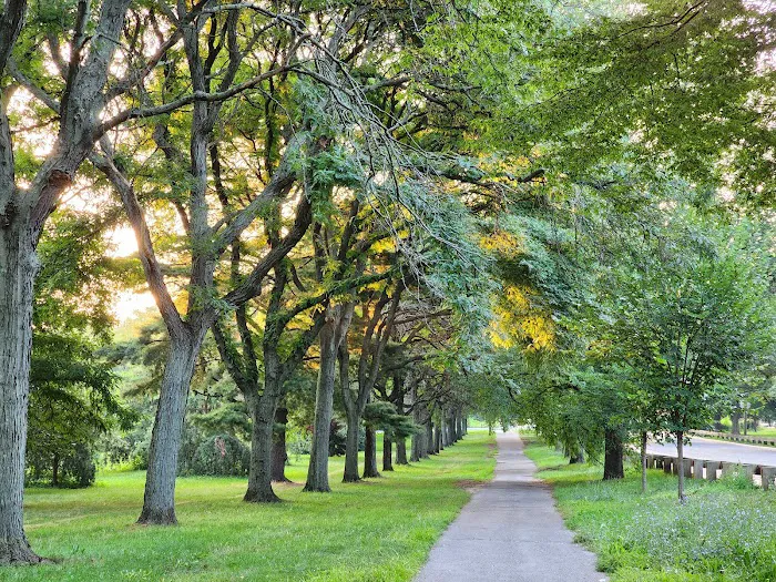 Mosholu-Pelham Greenway Picture 7